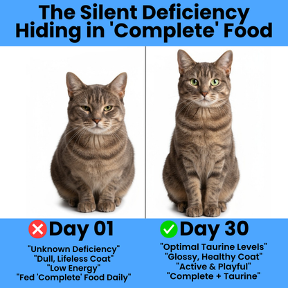 Purrfectly Taurine Supplement